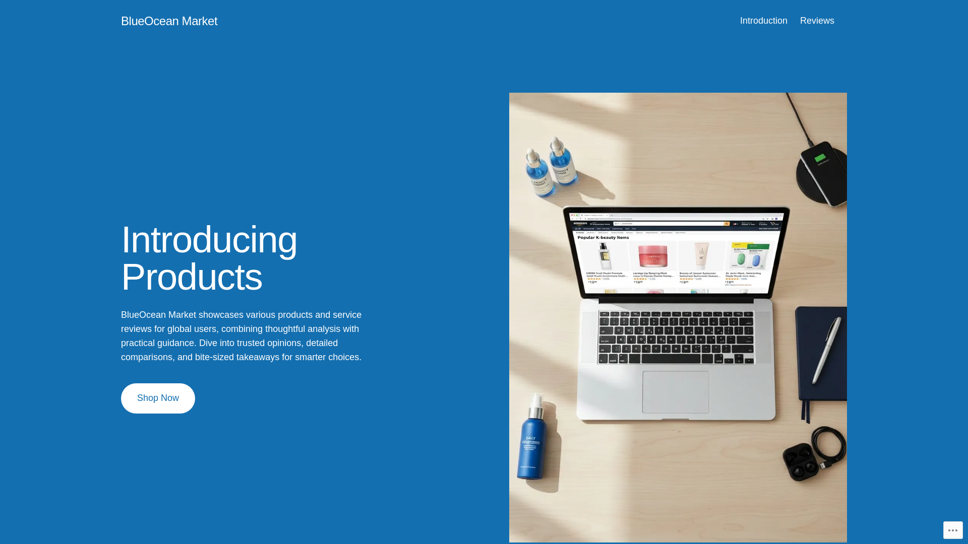 website screenshot of https://blueoceanmarket.blog/