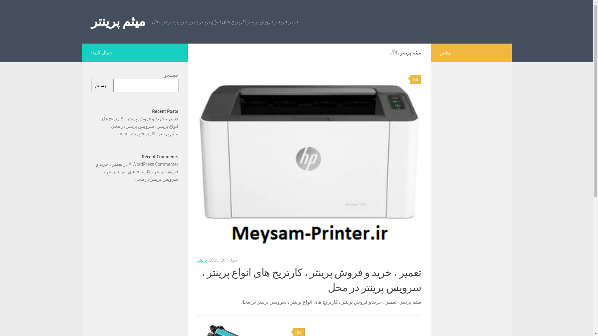 website screenshot of https://meysam-printer.ir/