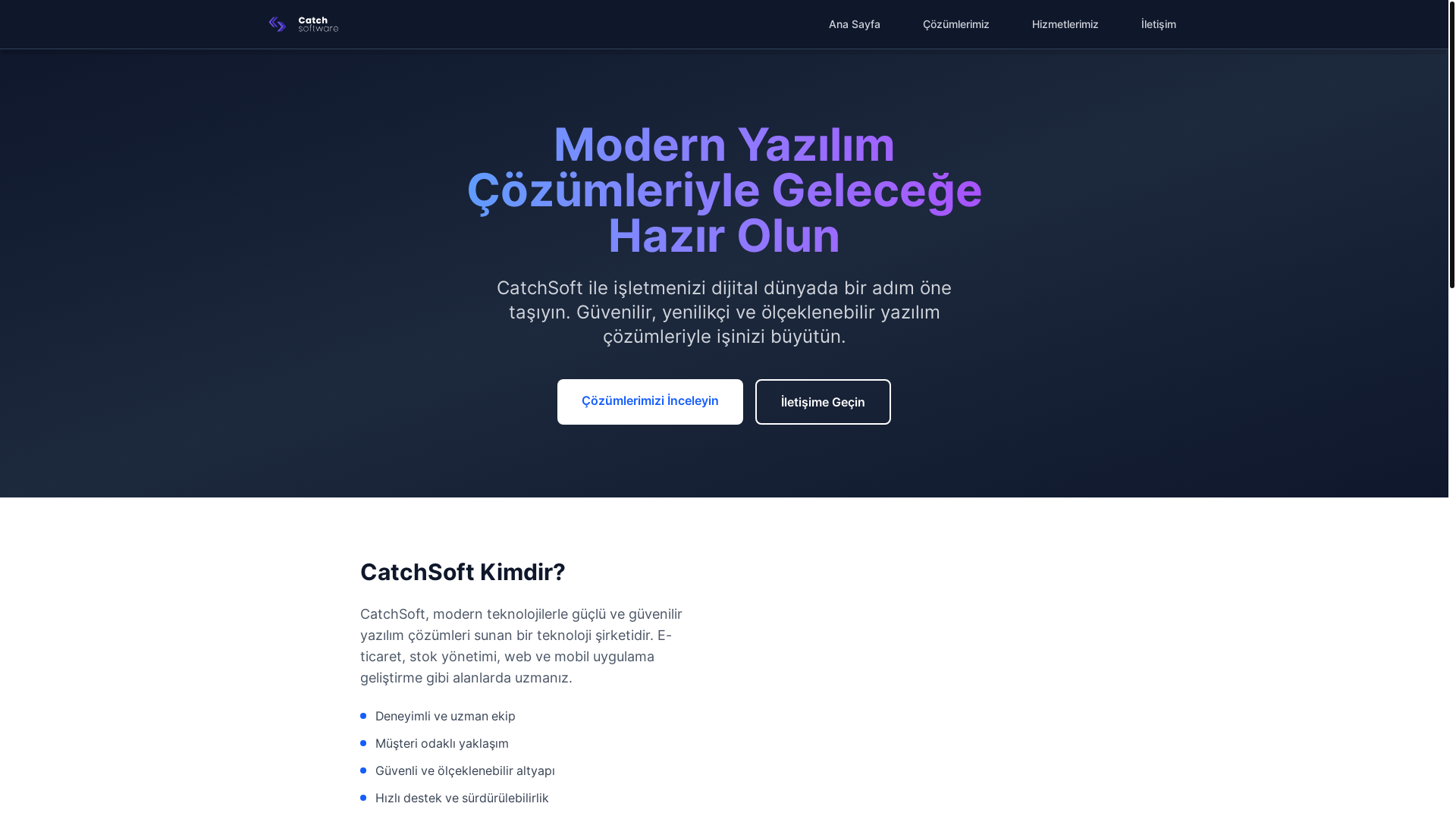 website screenshot of https://catchsoft.com.tr/