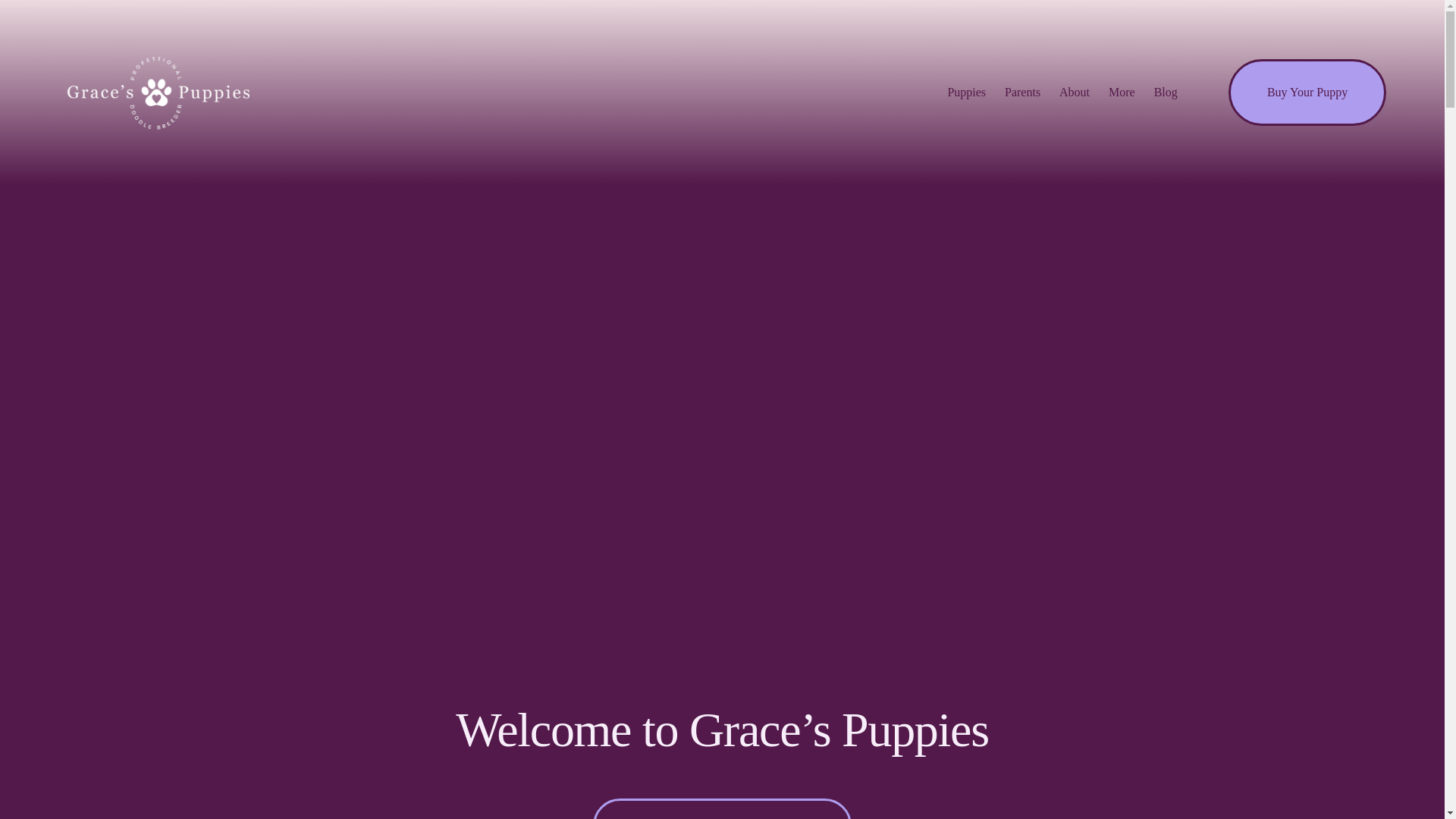 website screenshot of https://gracespuppies.org/