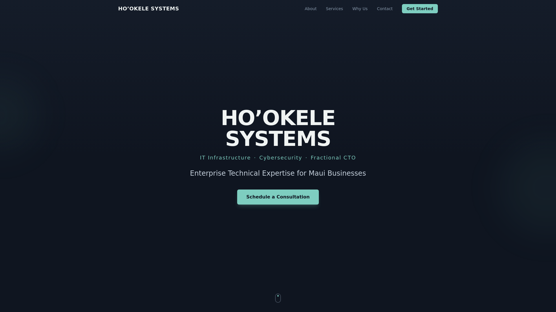 website screenshot of https://hookelesystems.com