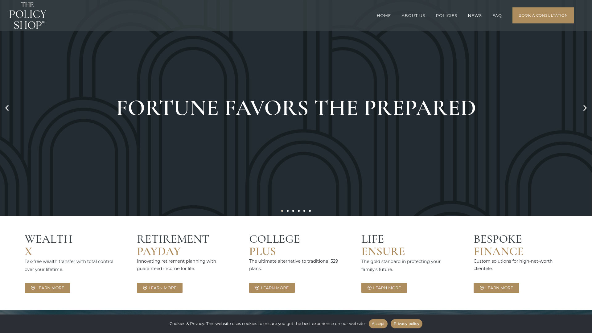 website screenshot of https://usethepolicyshoply.com/