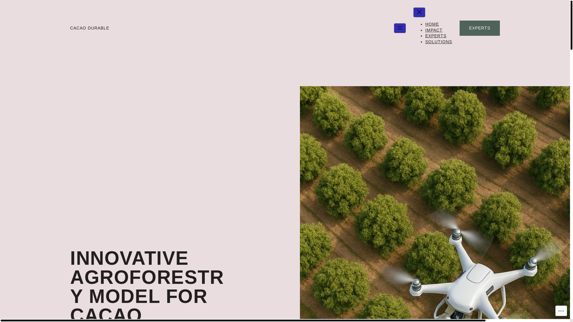 website screenshot of https://cacaodurable.de/