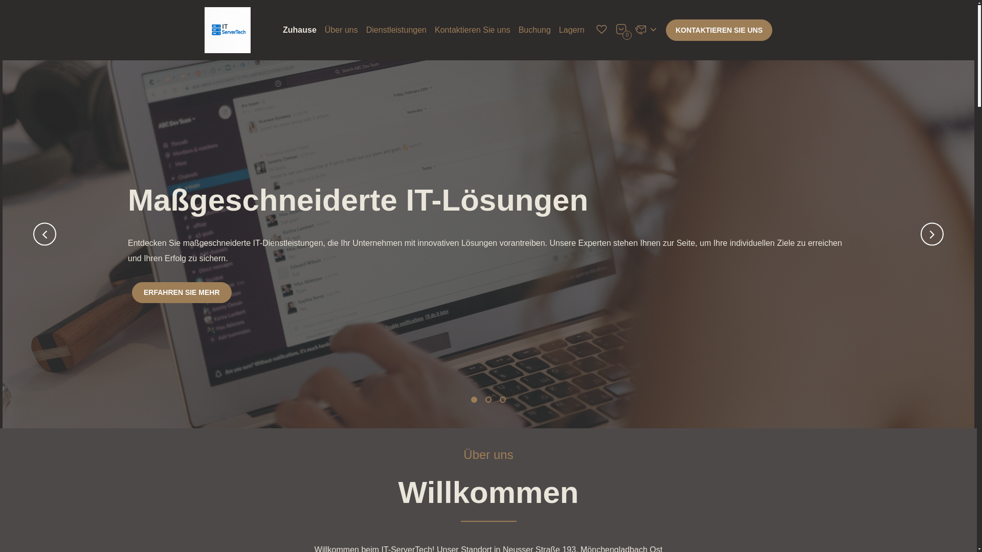 website screenshot of https://itservertech.com/