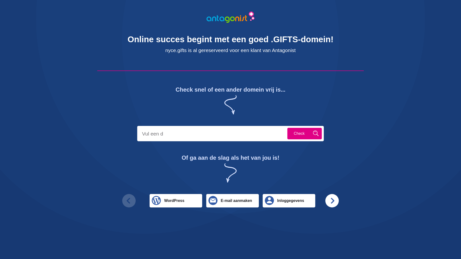 website screenshot of https://nyce.gifts/