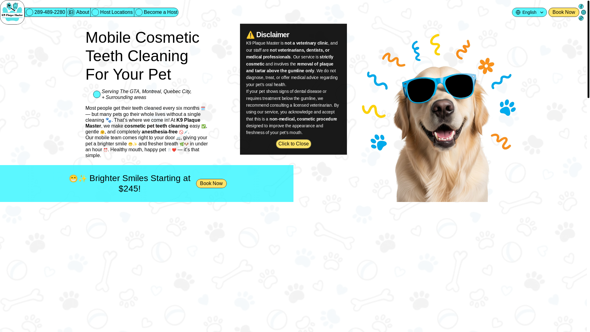 website screenshot of https://k9plaquemaster.ca/