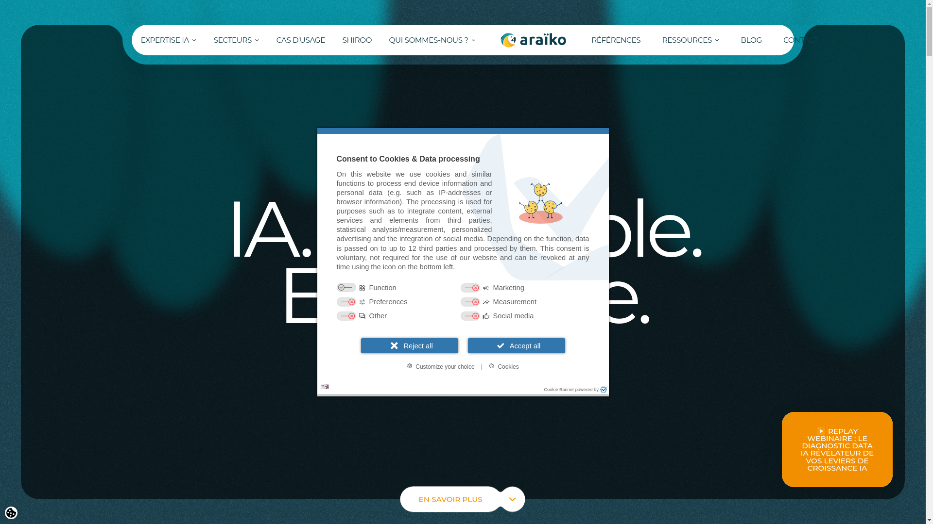 website screenshot of https://goaraiko.com/