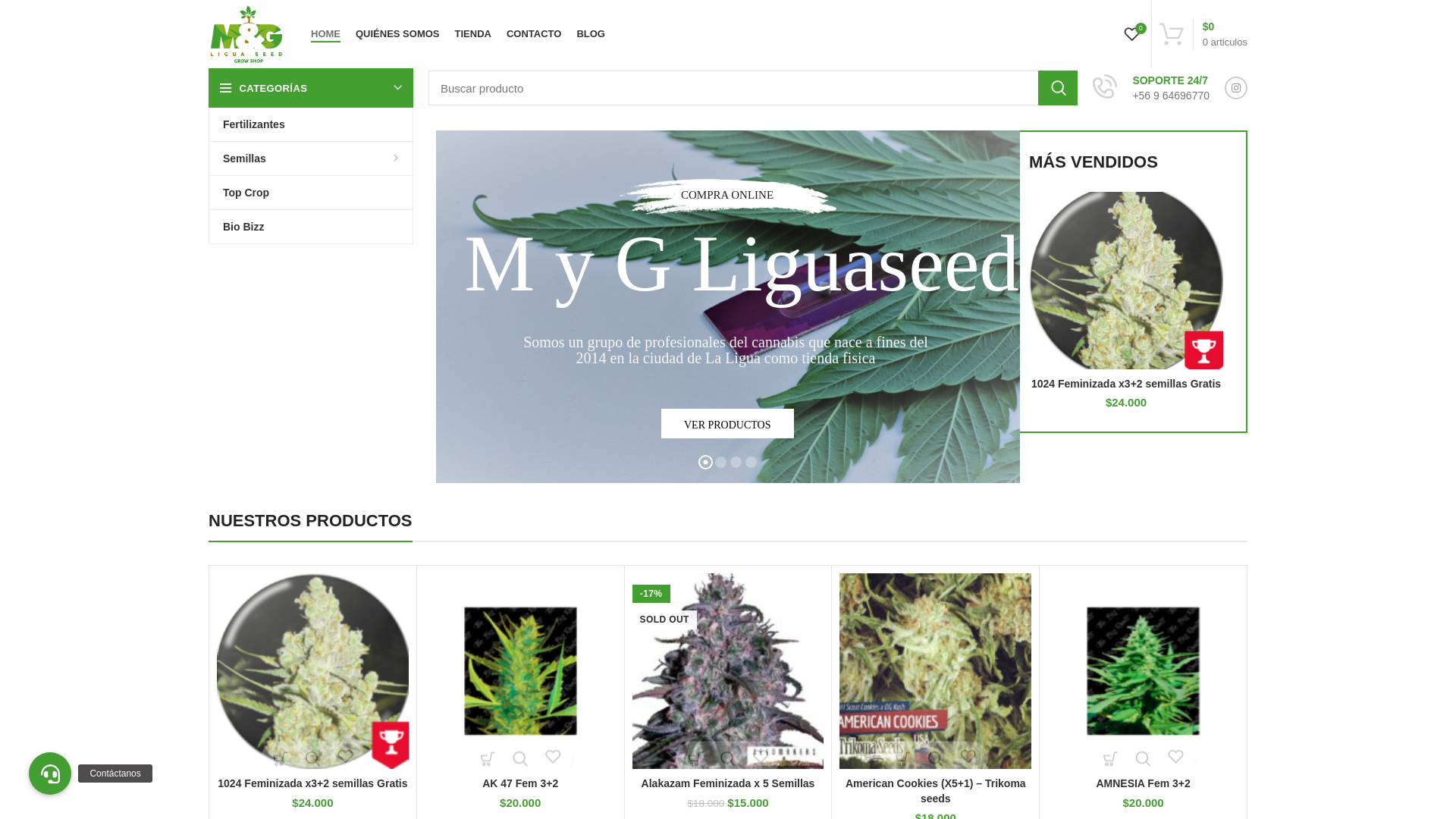 website screenshot of https://liguaseed.cl