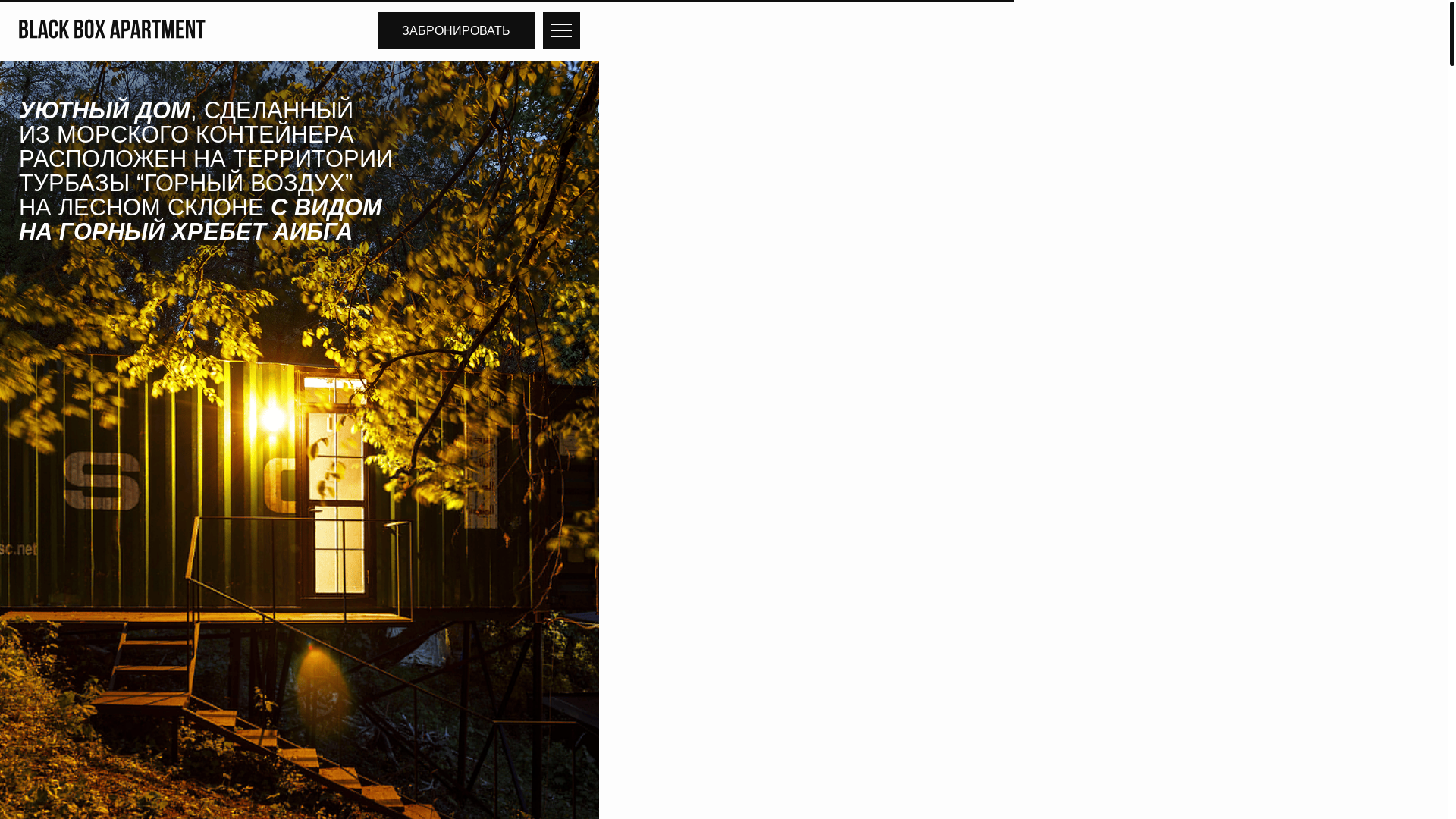 website screenshot of https://blackboxapartment.ru/
