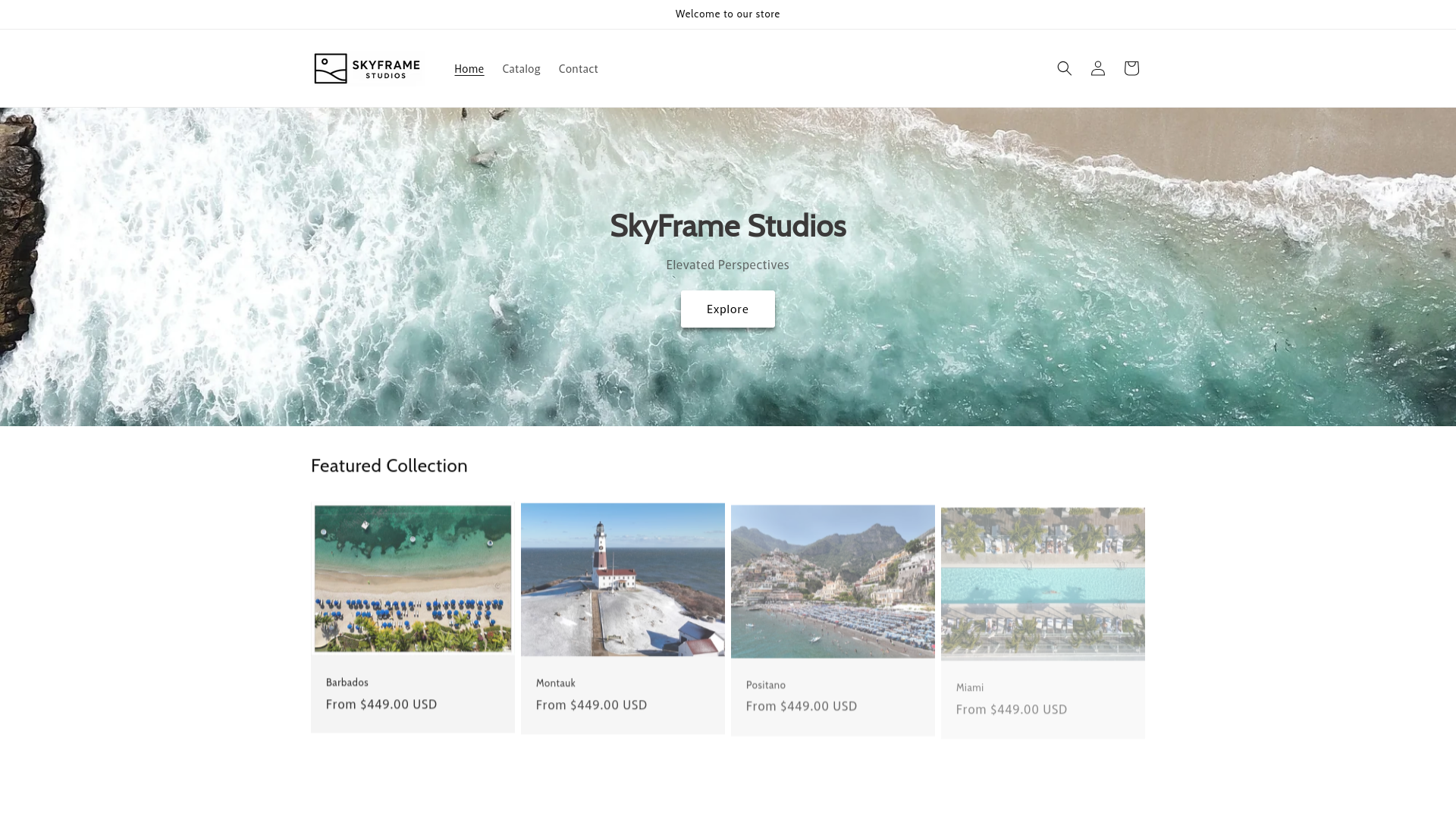 website screenshot of https://skyframestudios.us/