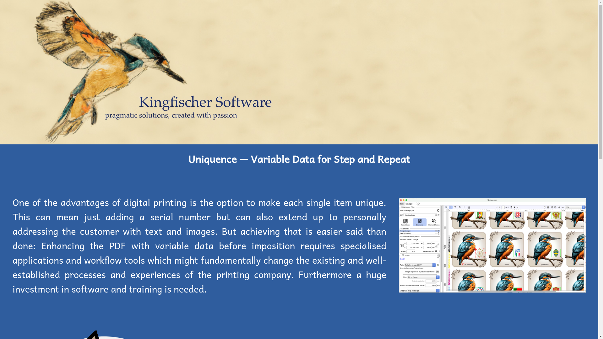 website screenshot of https://kingfischer-en.pages.dev/