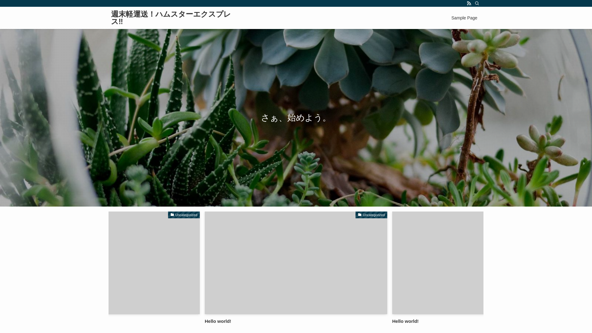 website screenshot of https://hamsterexpress.net/