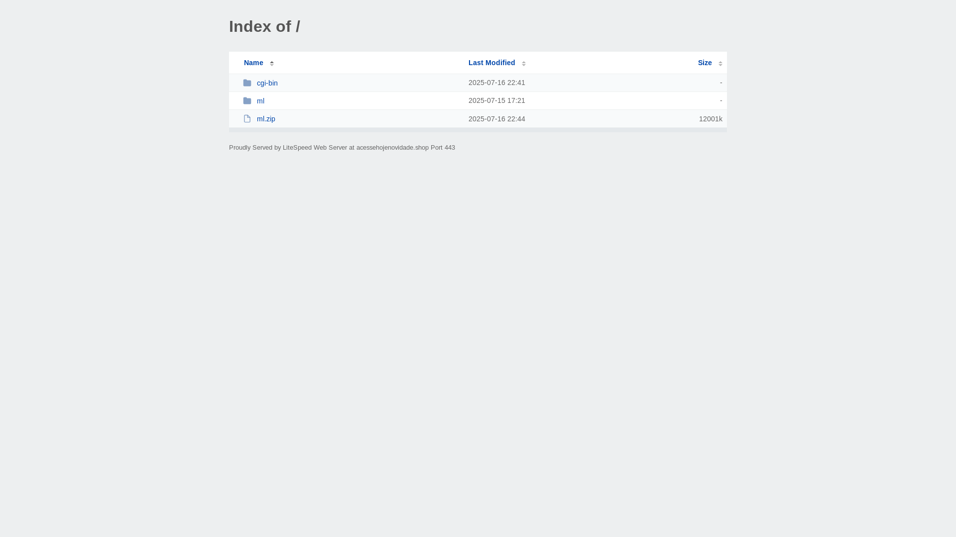 website screenshot of https://acessehojenovidade.shop/