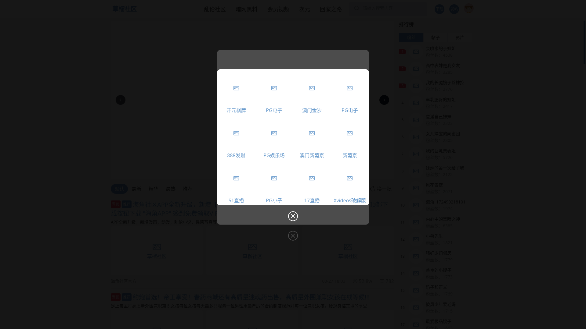 website screenshot of https://meiriheiliaoa.cc/