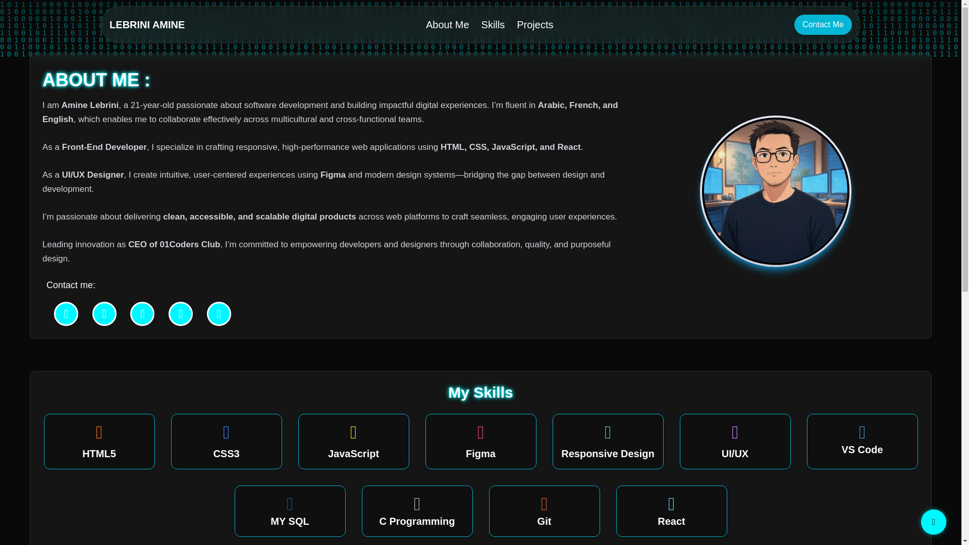 website screenshot of https://amine-lebrini.pages.dev/