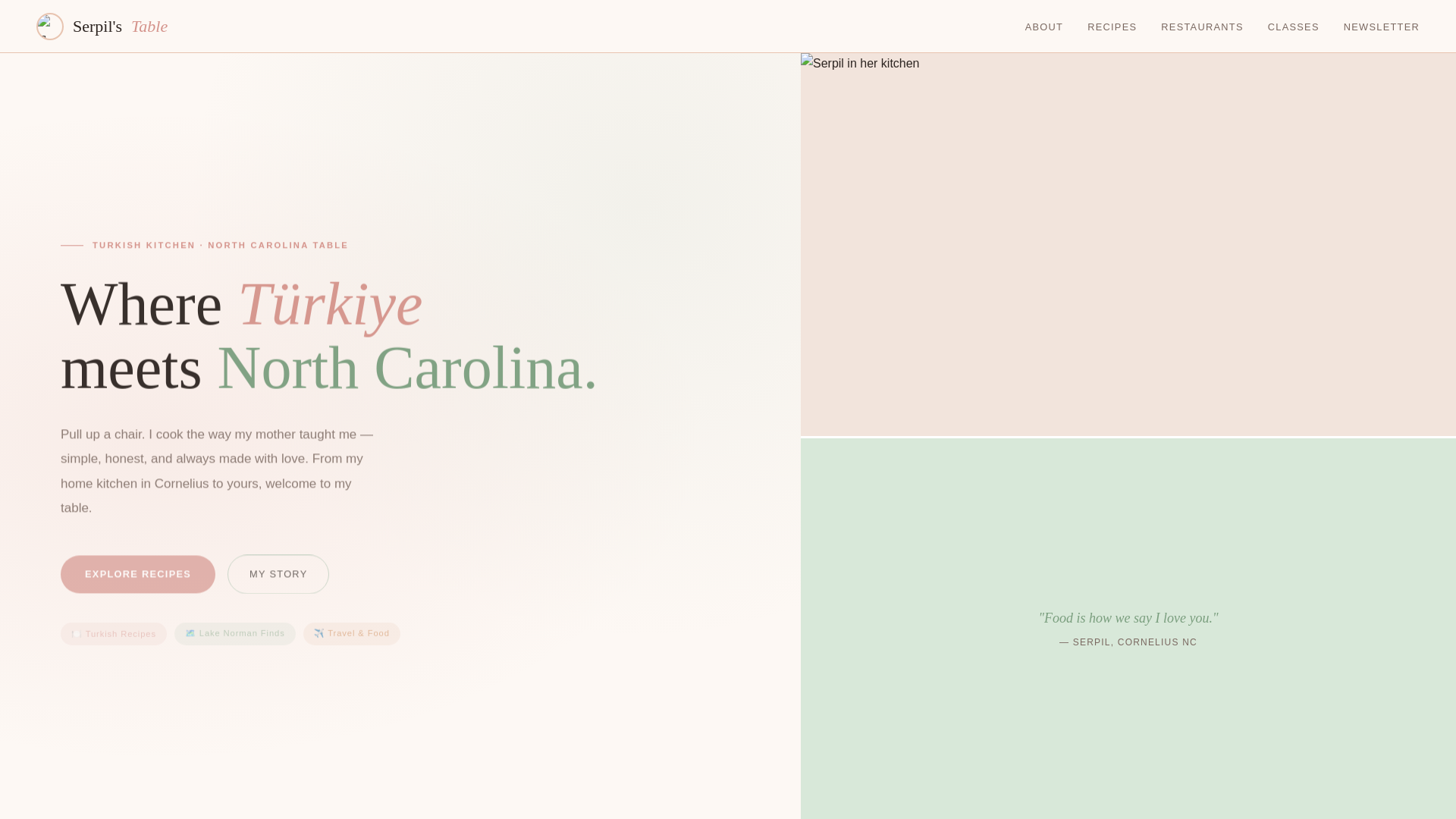 website screenshot of https://serpilstable.com