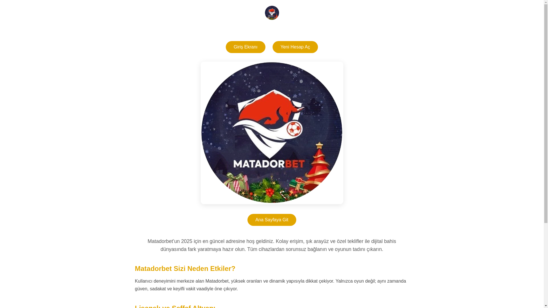 website screenshot of https://matador-bet.pro/