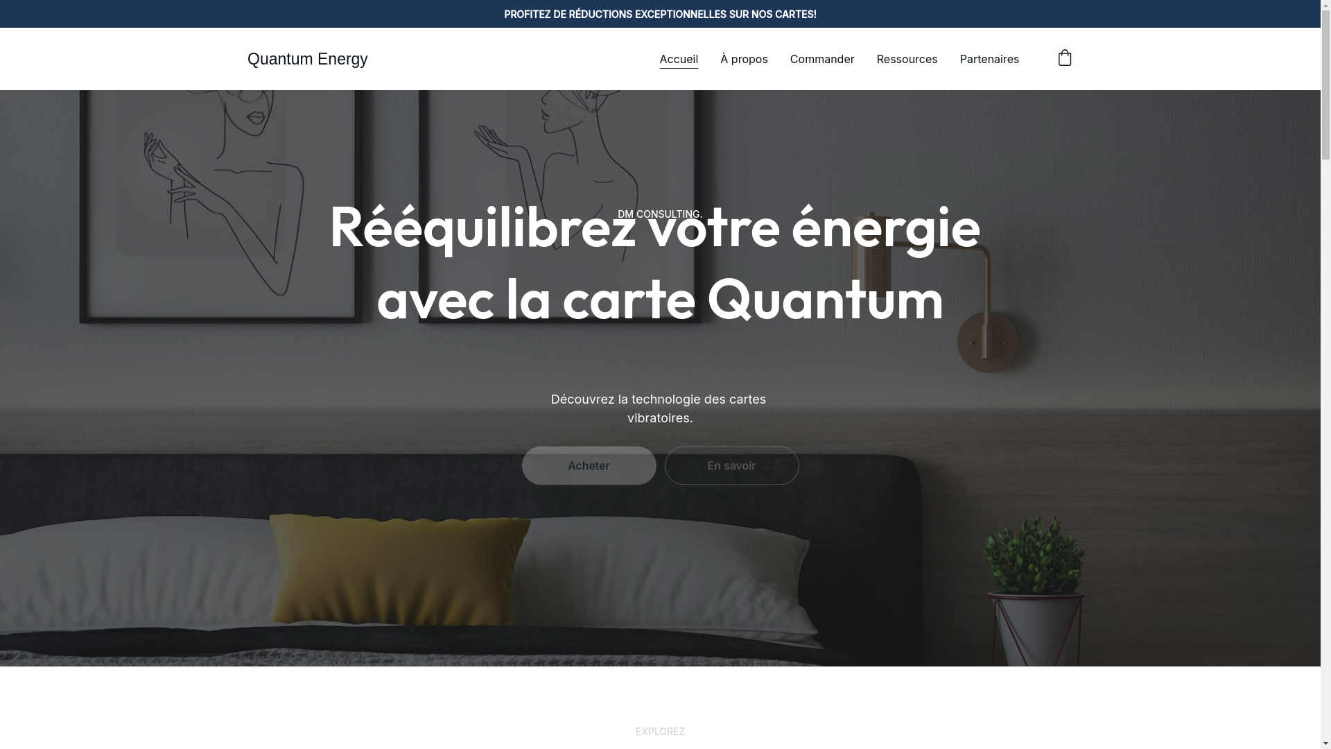 website screenshot of https://quantumenergy.fr/