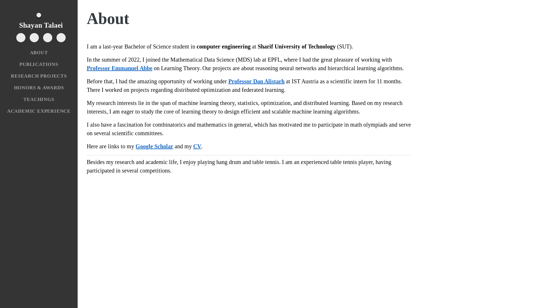 website screenshot of https://shayantalaei.com/