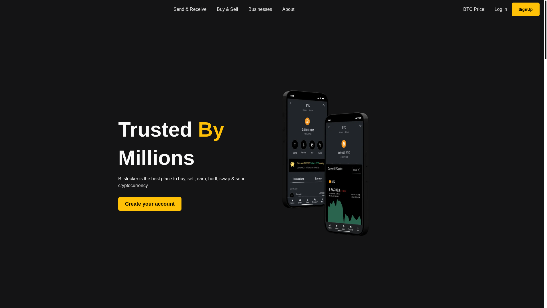 website screenshot of https://bitslocker.net/