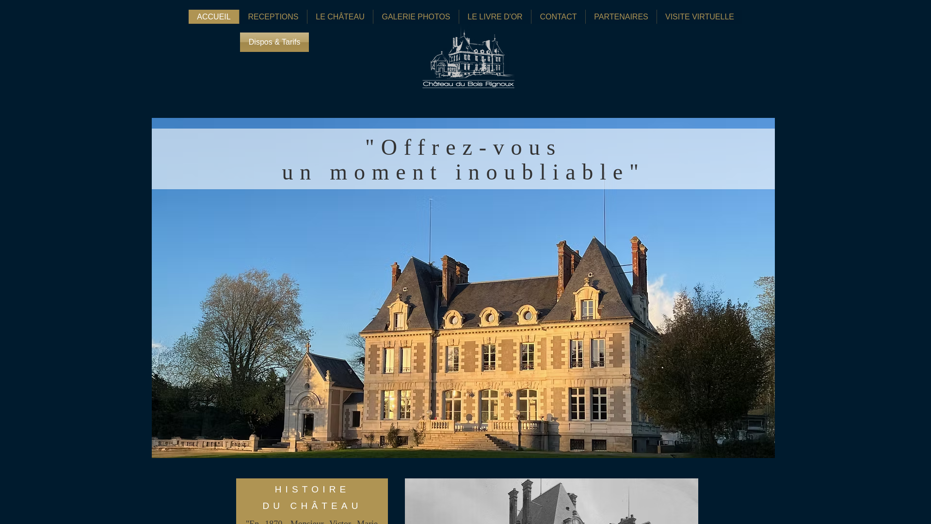 website screenshot of https://chateauduboisrignoux.com