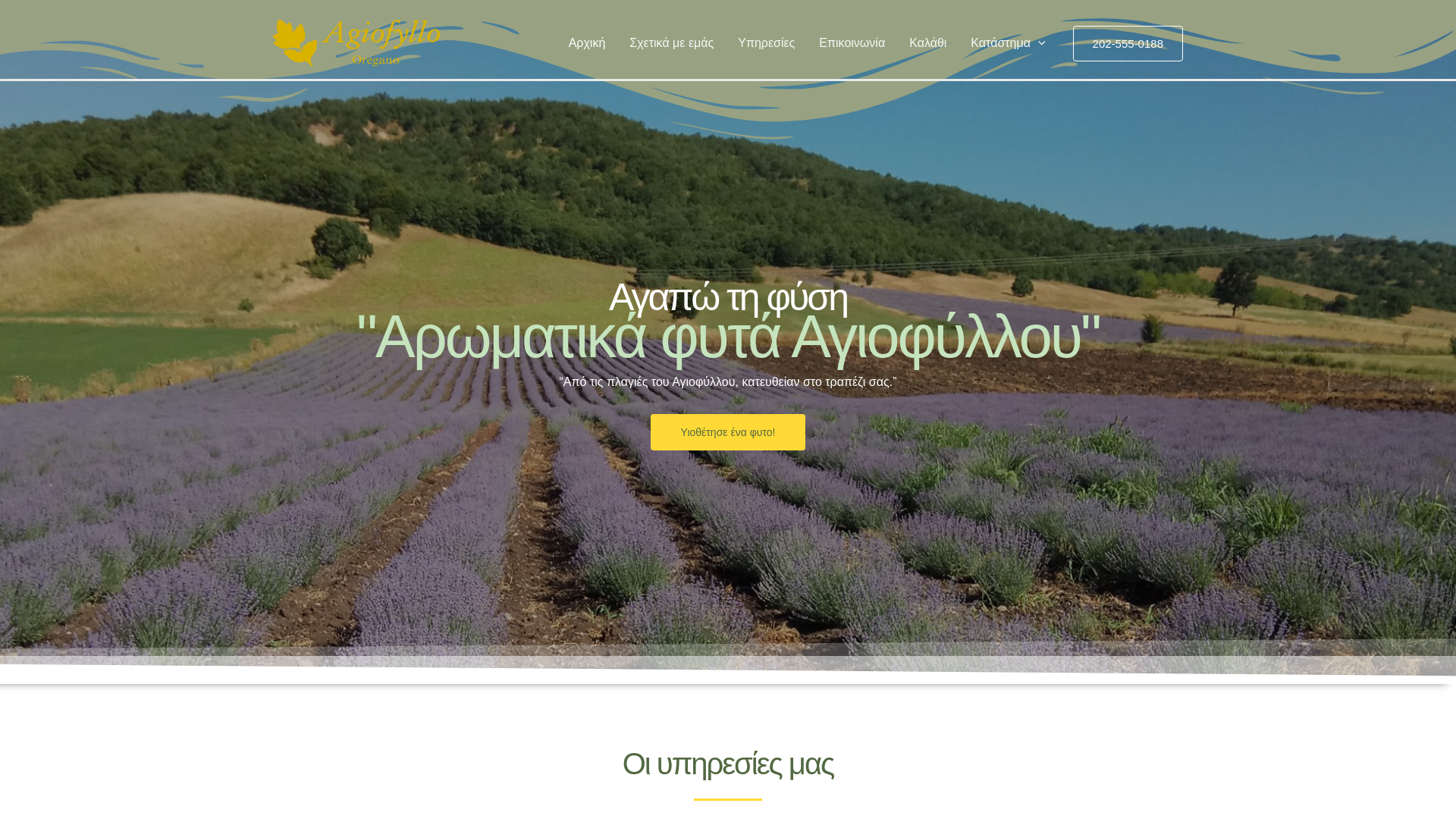 website screenshot of https://holyleafmeteora.com/