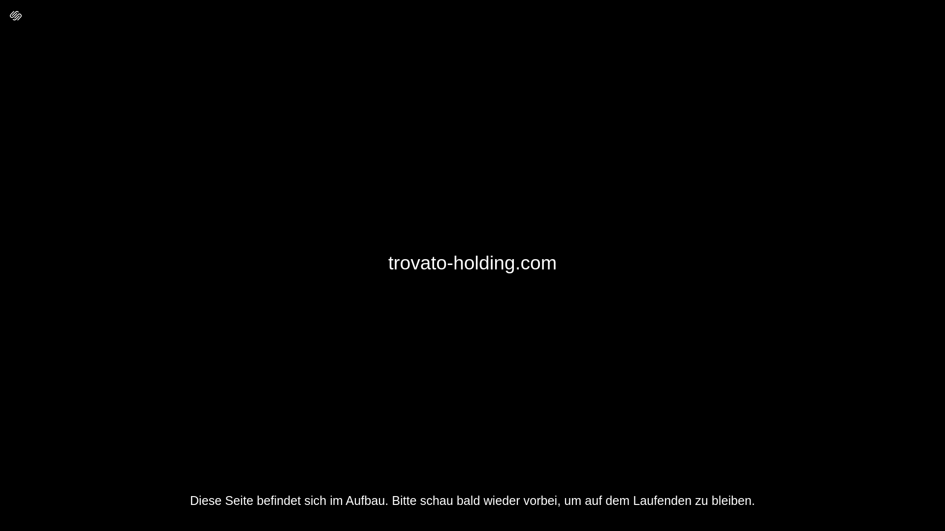 website screenshot of https://trovato-holding.com/