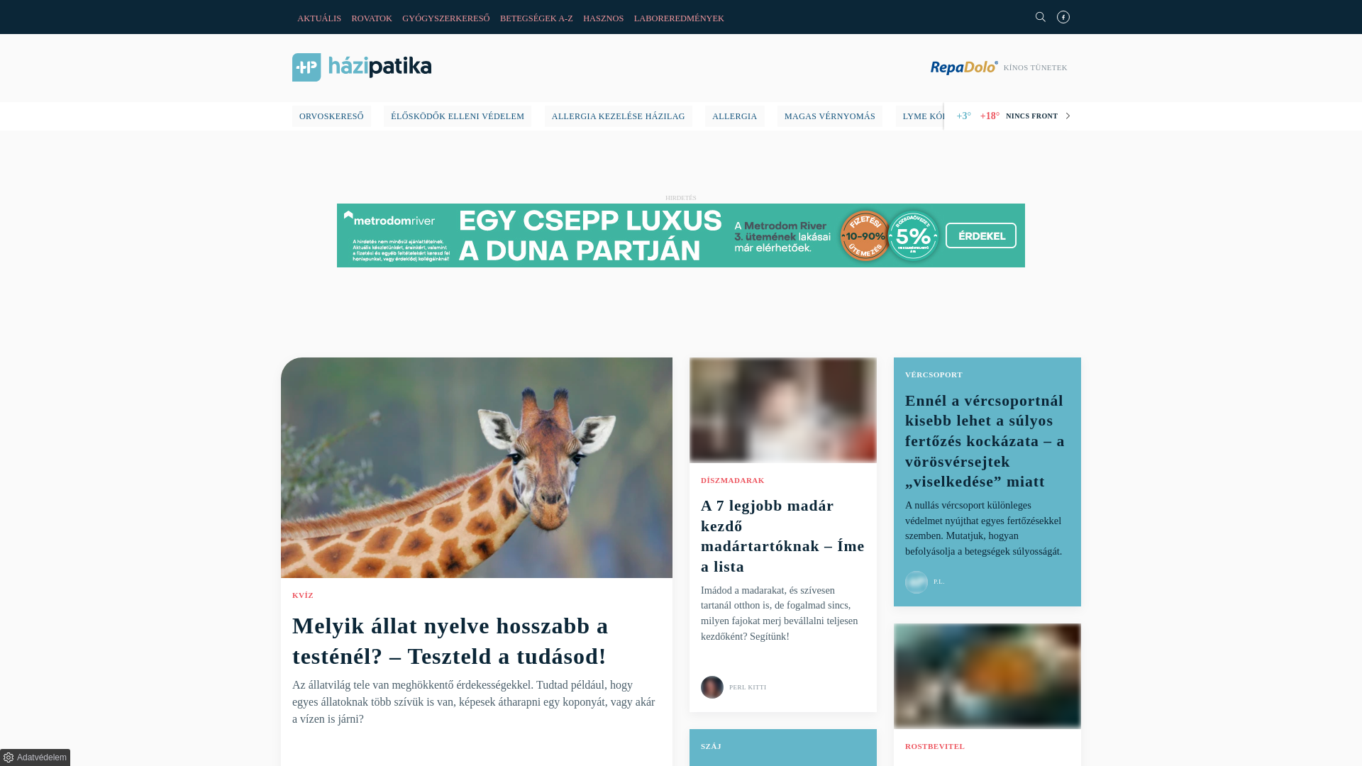 website screenshot of https://hazipatika.com