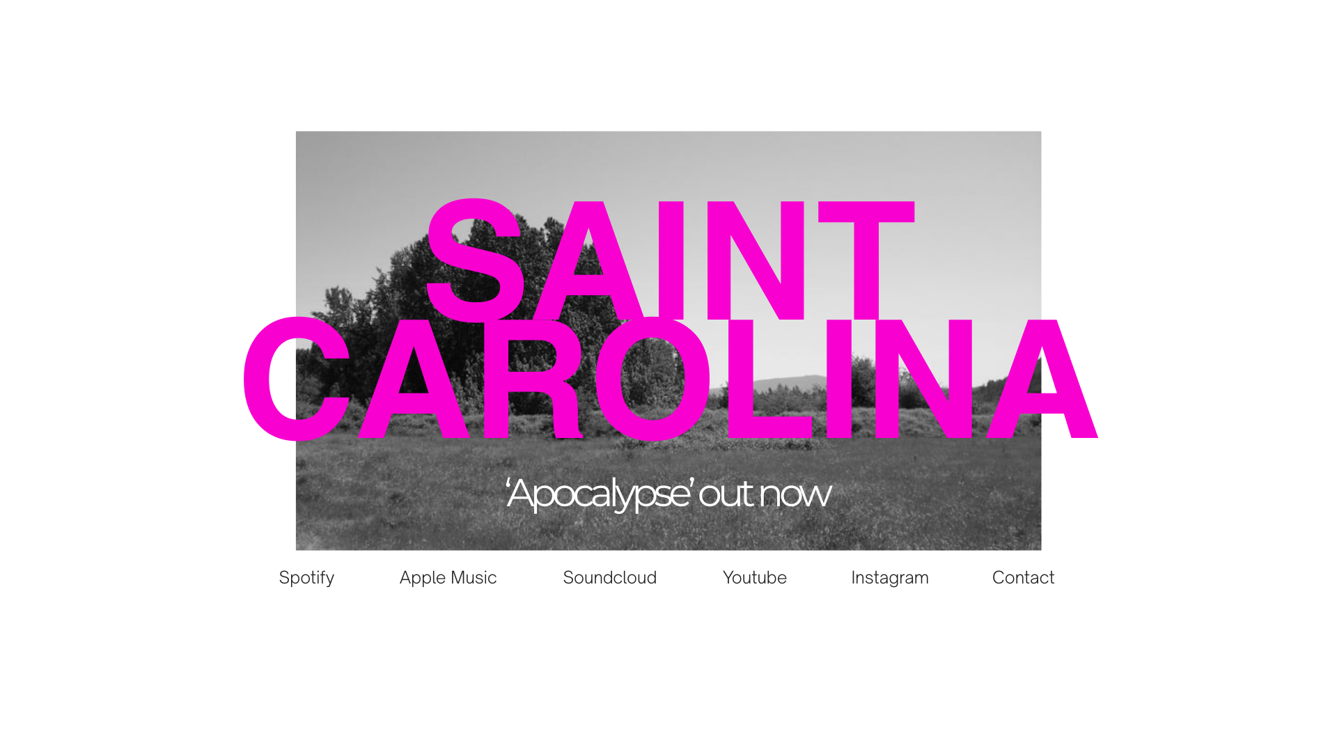 website screenshot of https://saintcarolina.com/