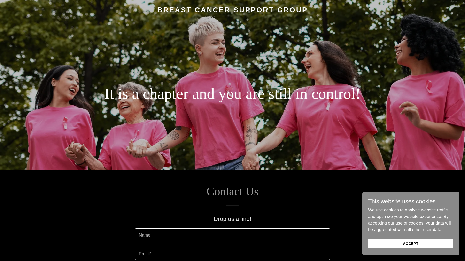 website screenshot of https://mypinkchapter.com/