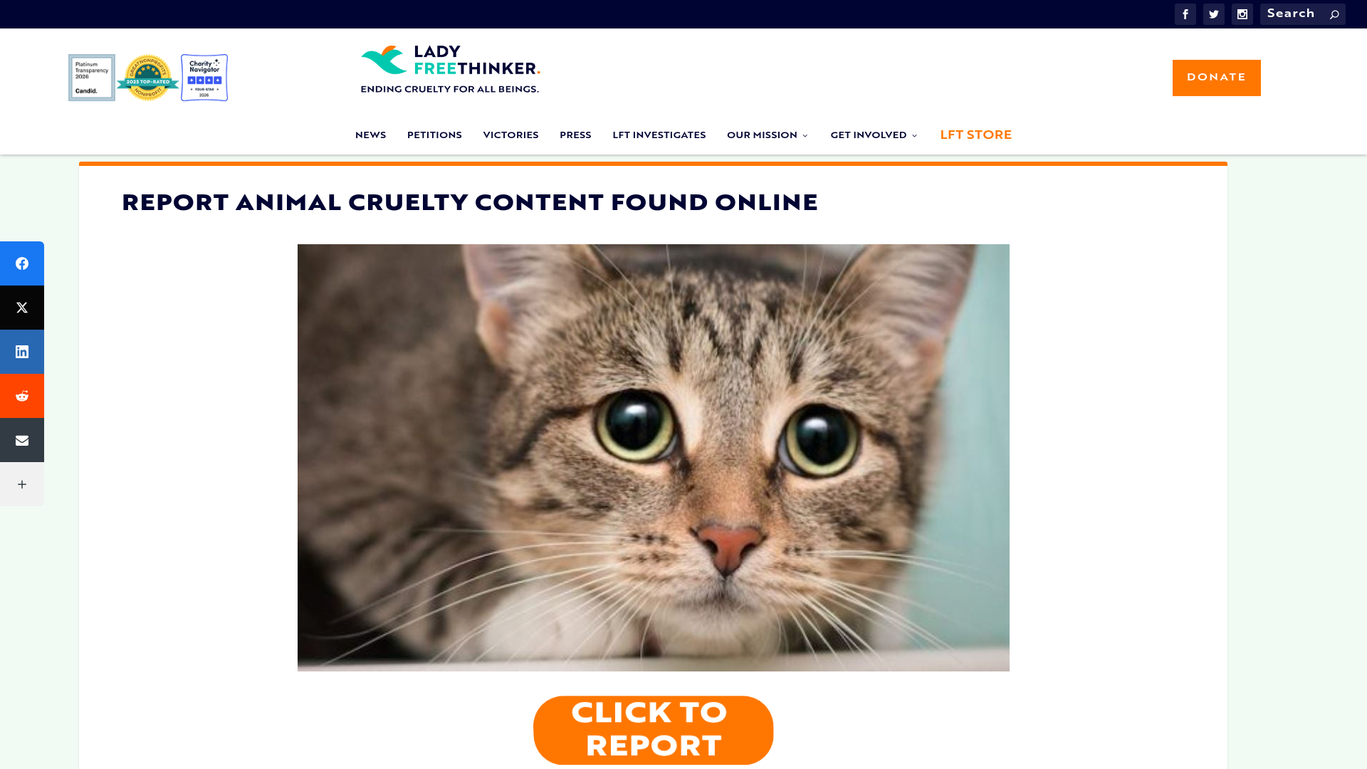website screenshot of https://reportposts.org/