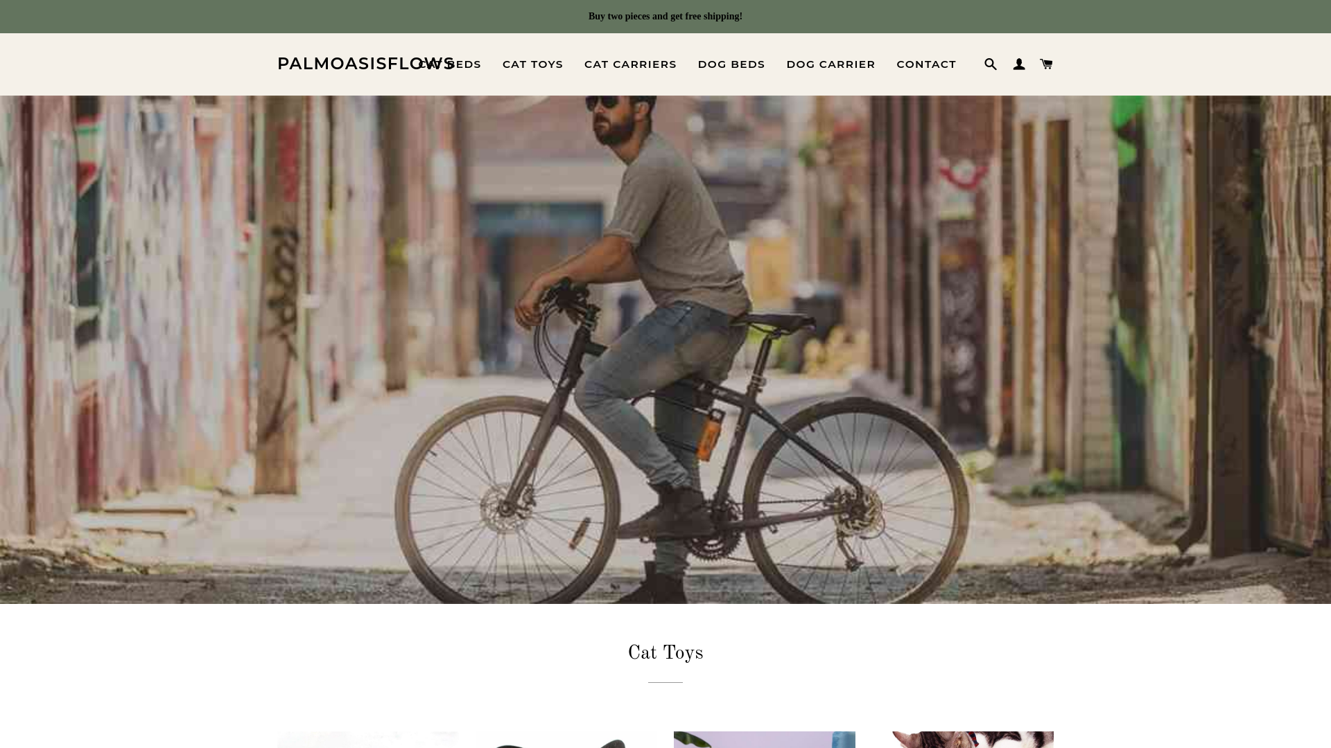 website screenshot of https://palmoasisflows.shop/