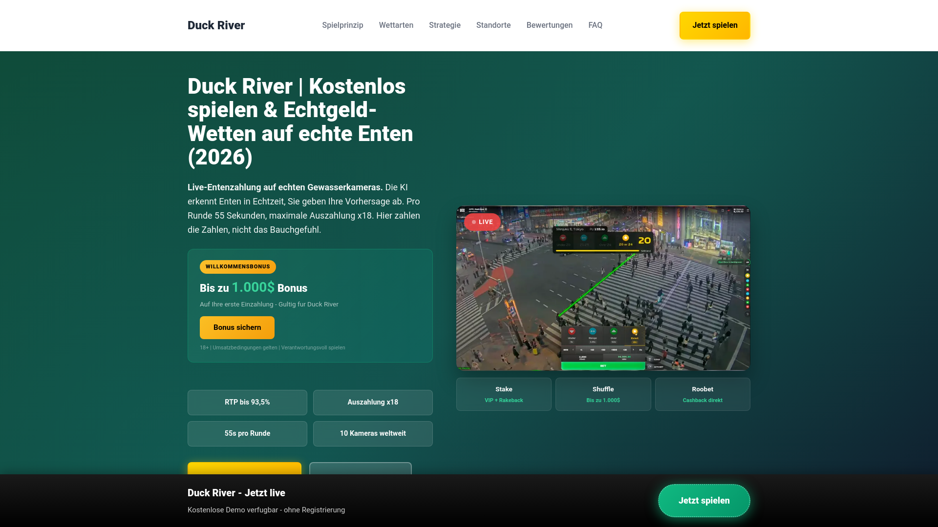 website screenshot of https://duck-river.de/