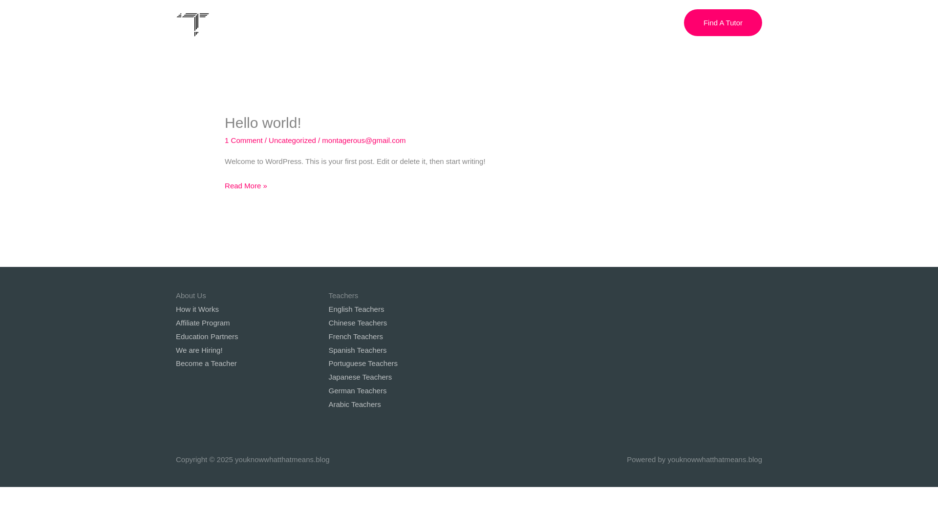 website screenshot of https://youknowwhatthatmeans.blog/