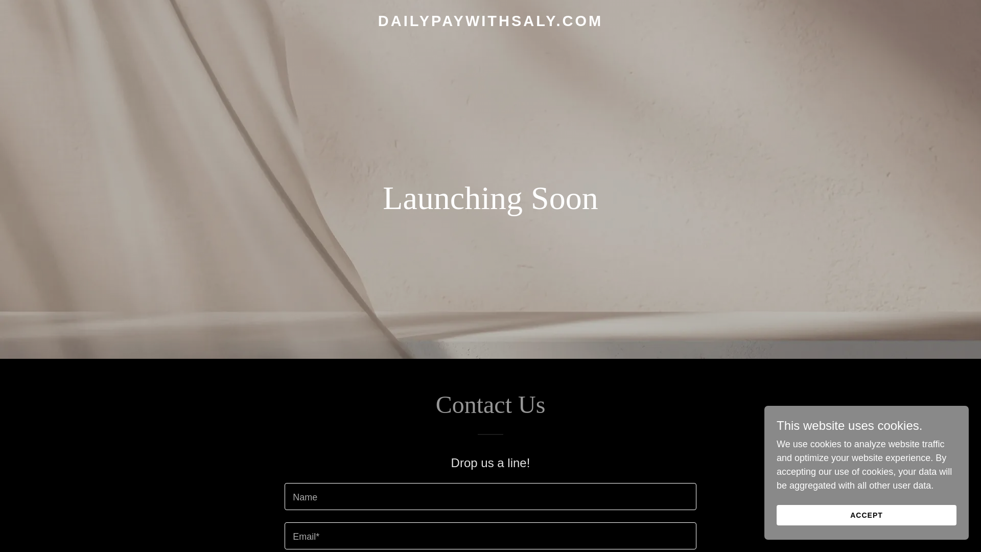 website screenshot of https://dailypaywithsaly.com