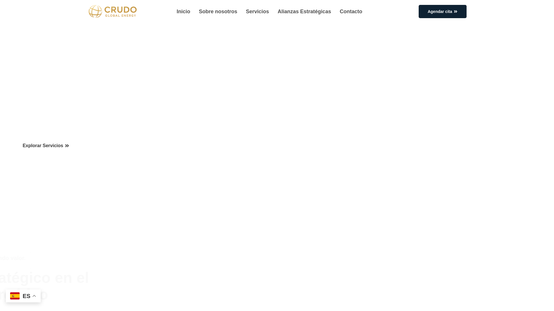 website screenshot of https://crudoglobalenergy.com/
