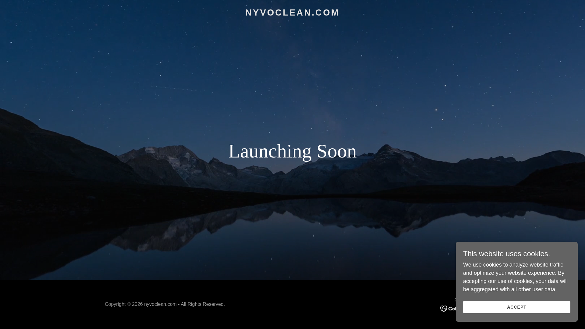 website screenshot of https://nyvoclean.com/