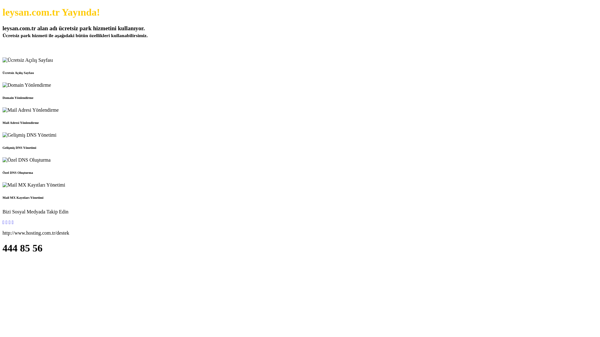 website screenshot of https://leysan.com.tr/