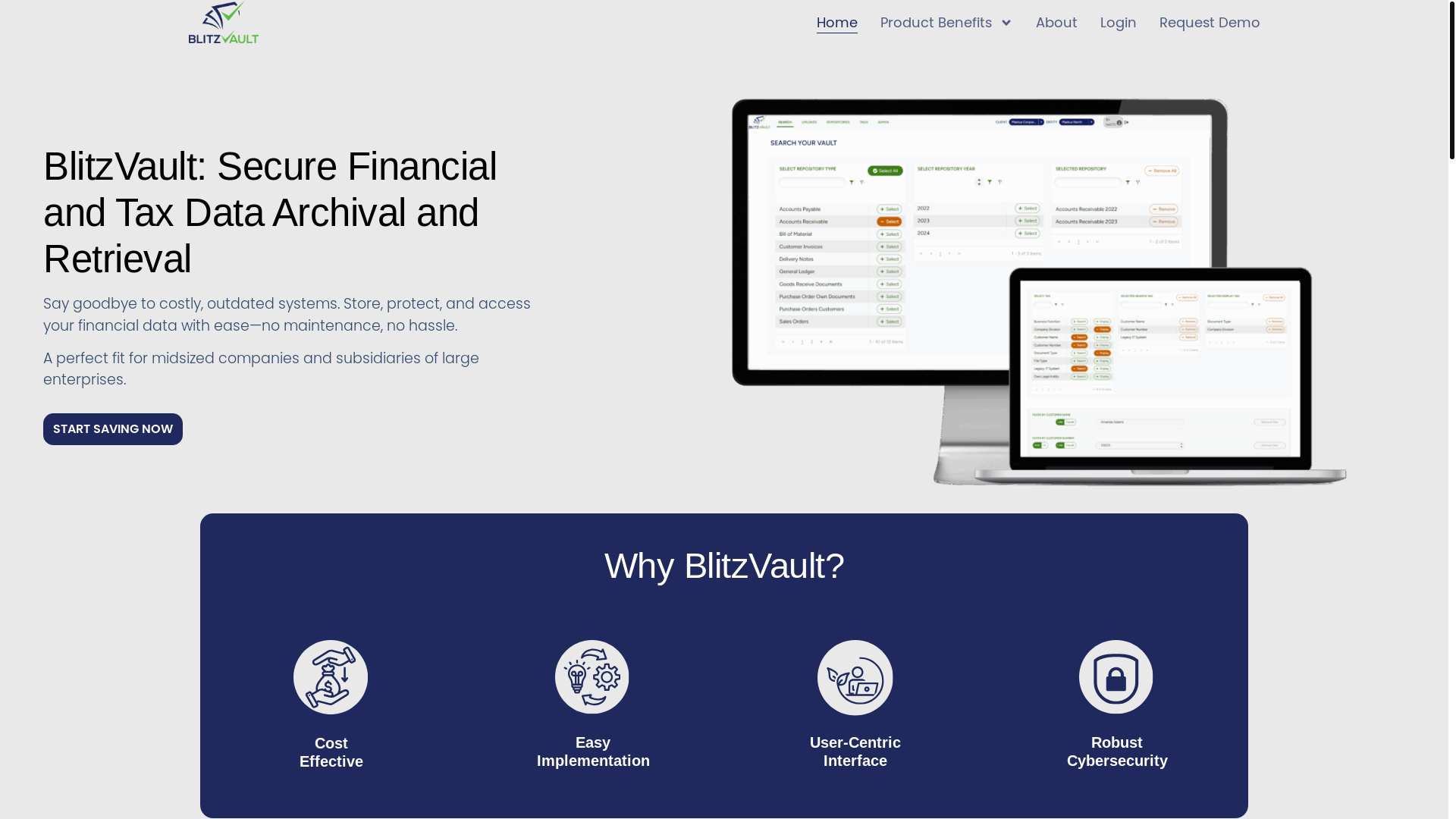 website screenshot of https://www.blitzvault.com/
