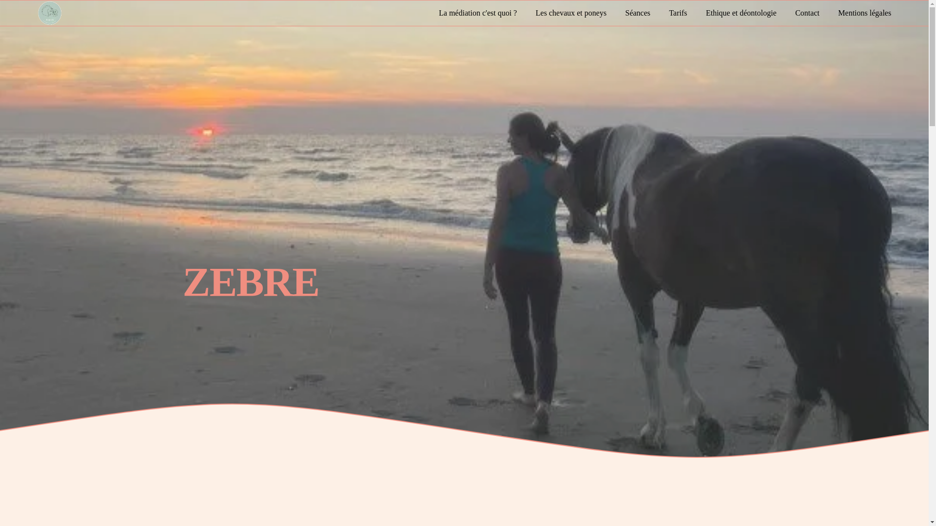 website screenshot of https://zebremediation.fr/