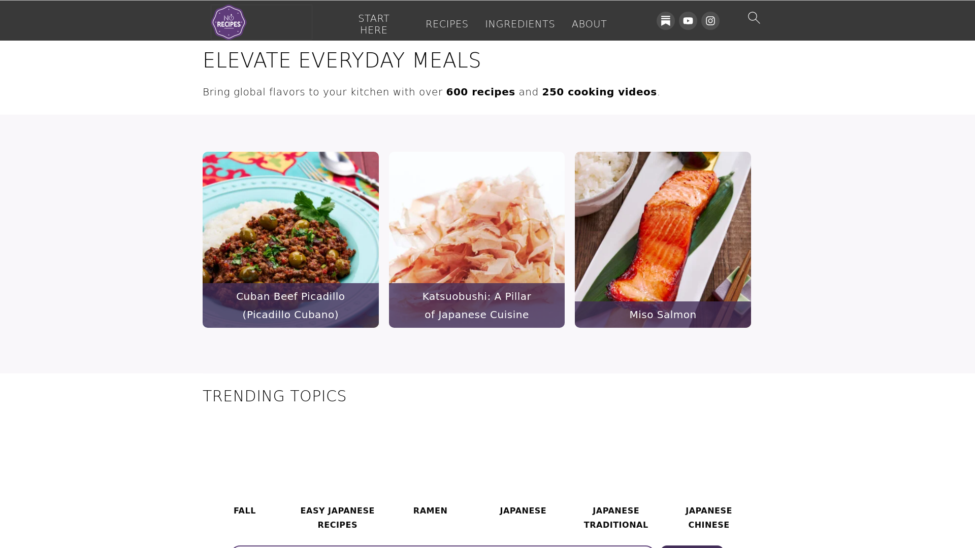 website screenshot of https://norecipes.com