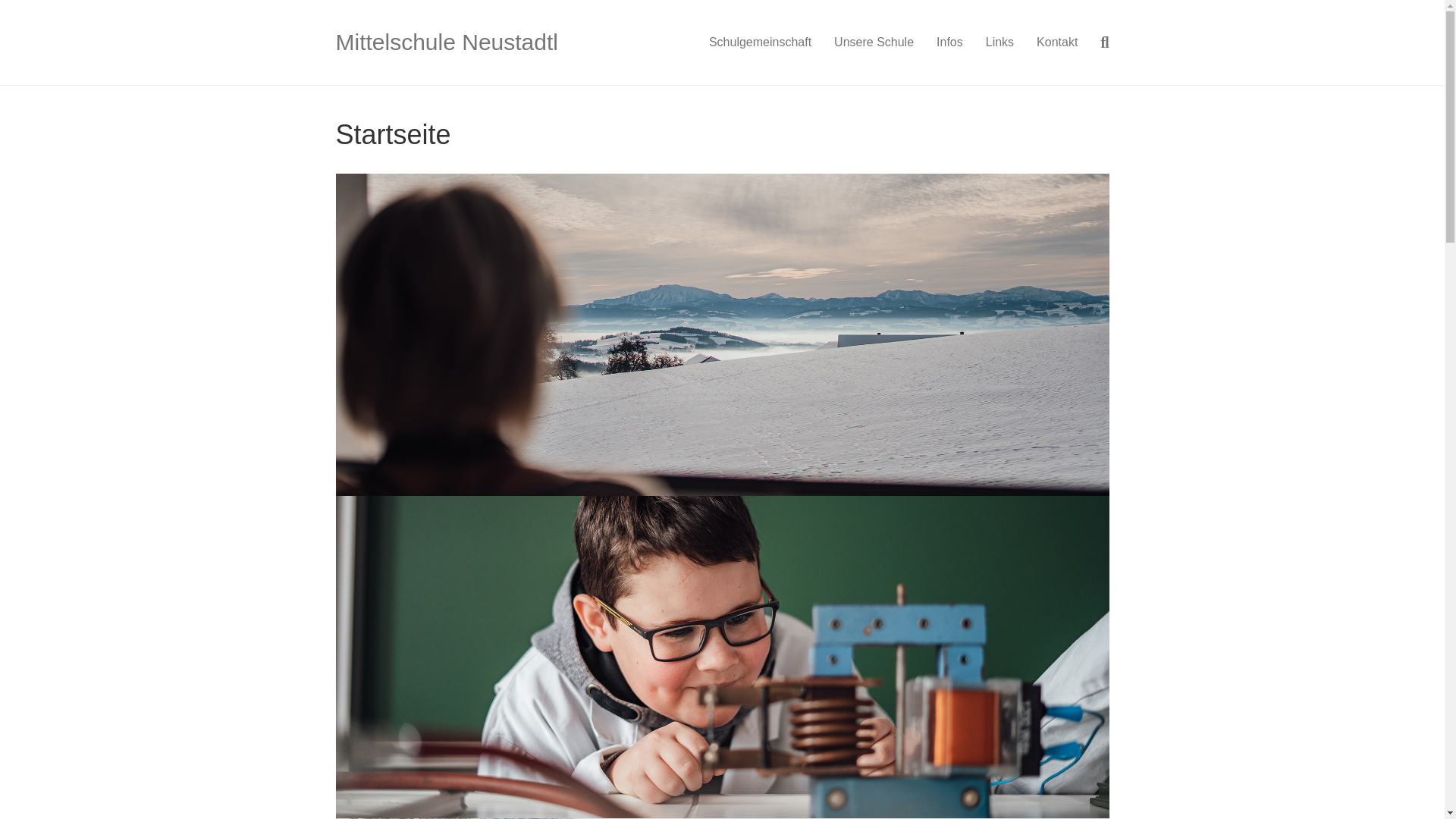 website screenshot of https://nmsneustadtl.ac.at/