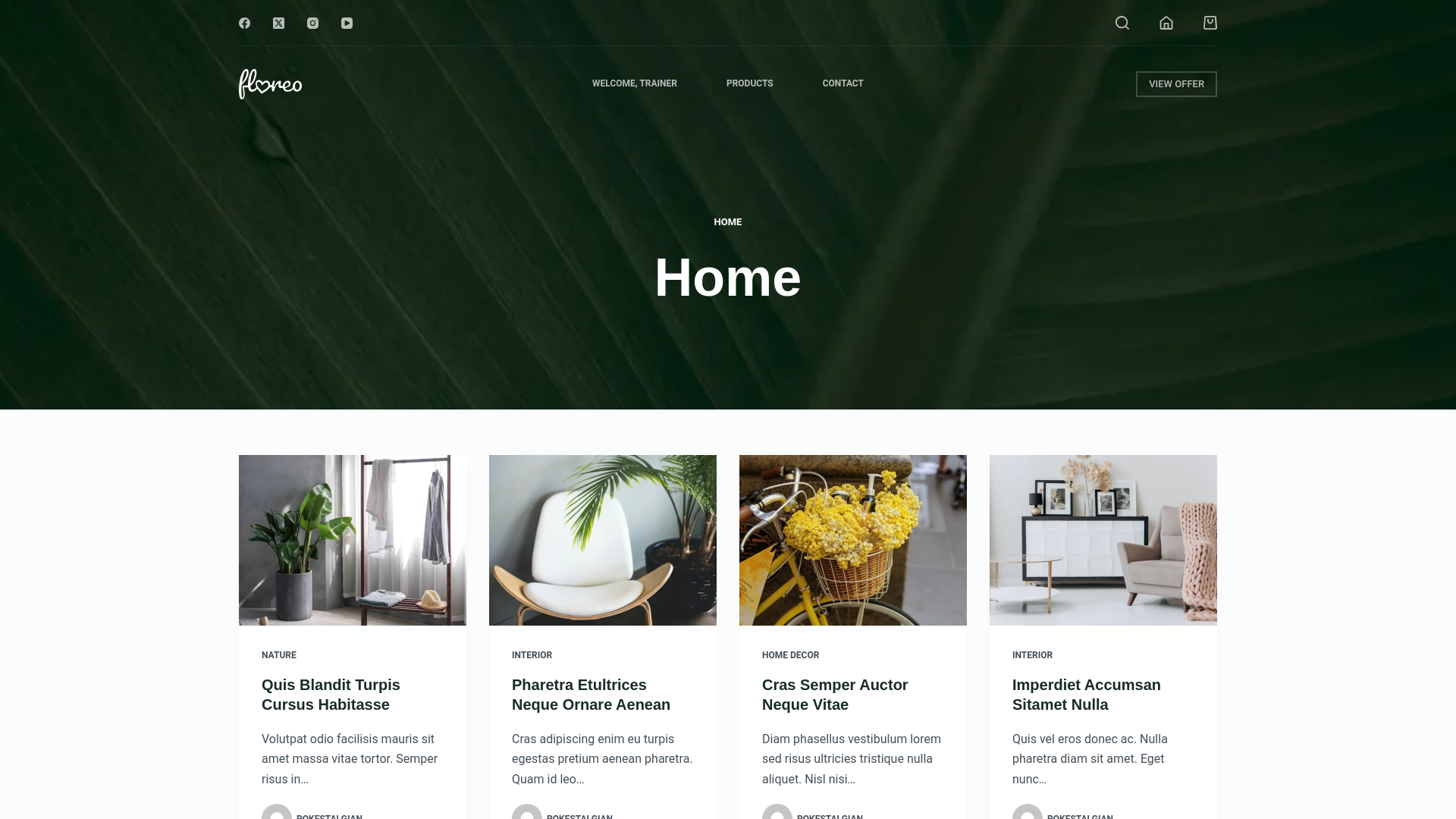 website screenshot of https://pokestalgia.shop