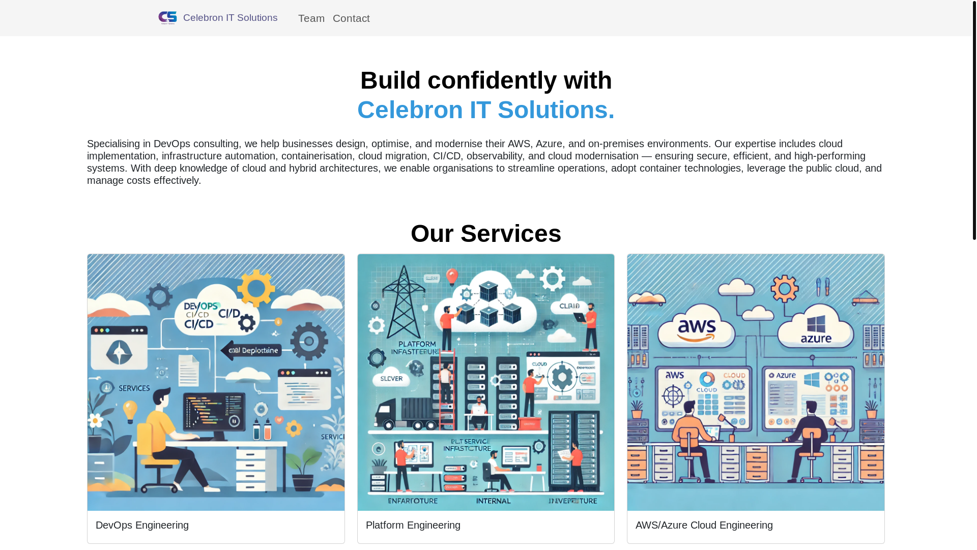 website screenshot of https://celebronit.com/
