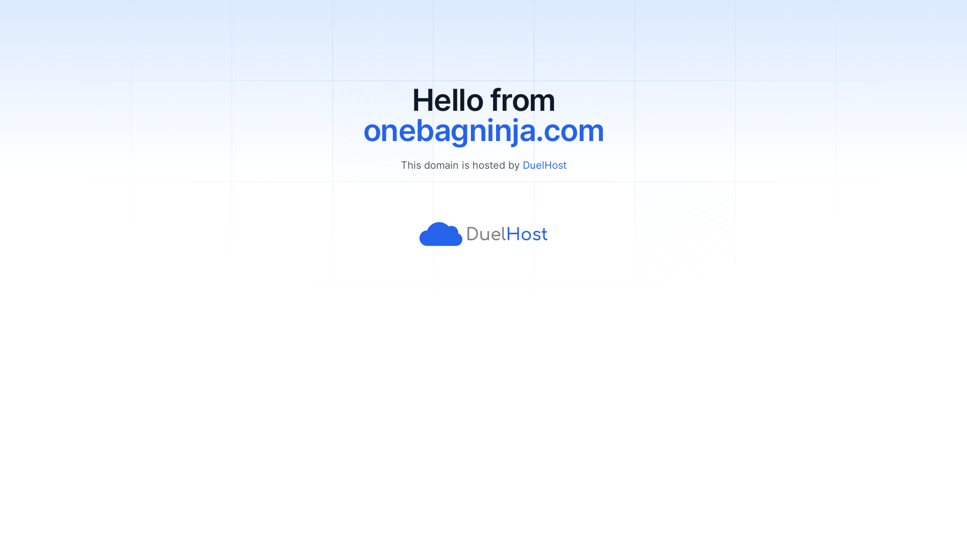 website screenshot of https://onebagninja.com/