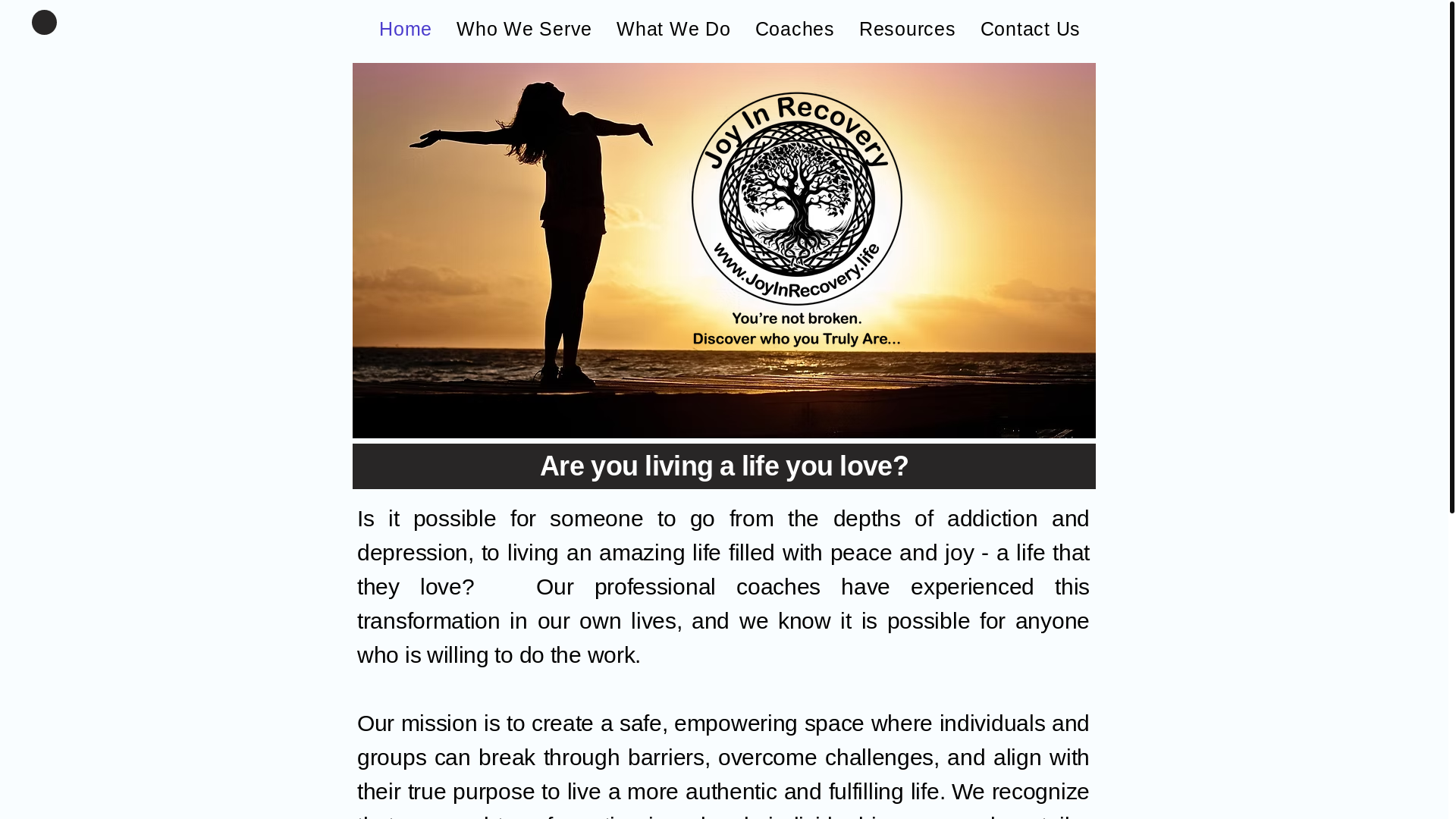 website screenshot of https://joyinrecovery.life/