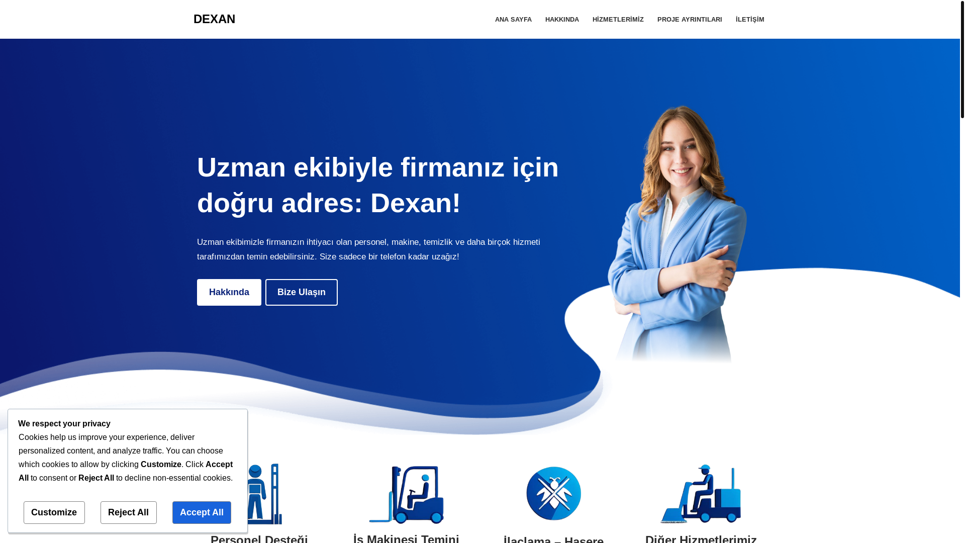 website screenshot of https://dexan.com.tr/