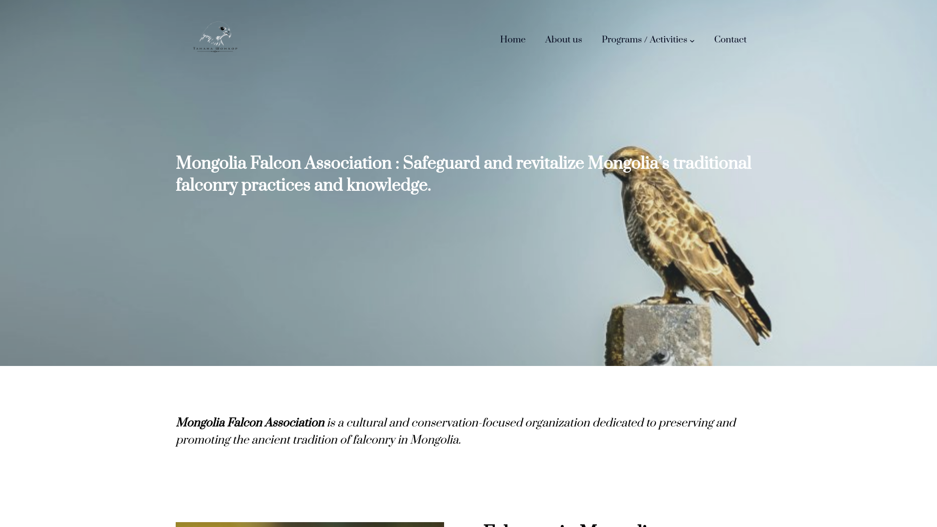 website screenshot of https://tananfalcon.com/