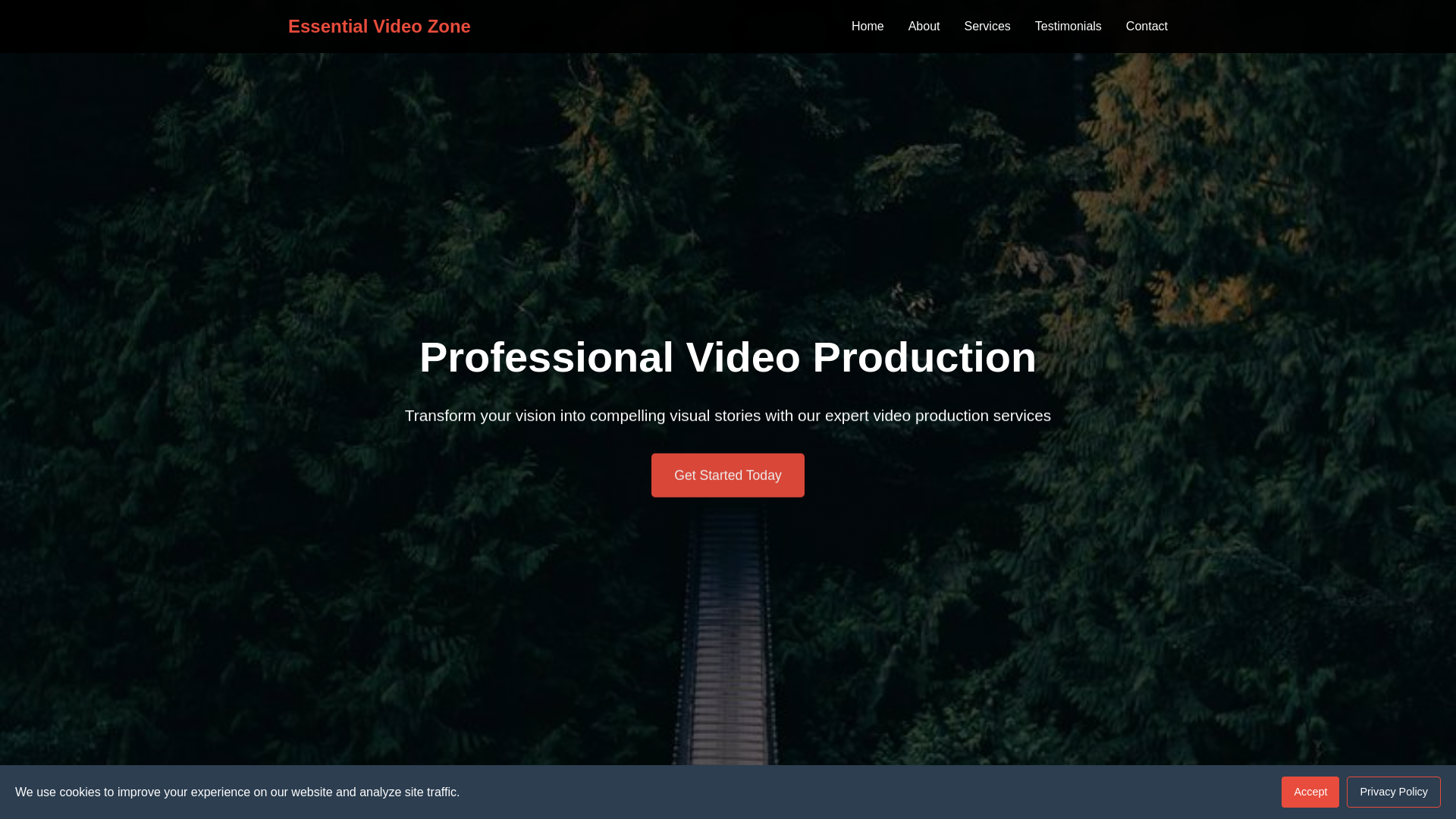website screenshot of https://essentialvideozone.digital/