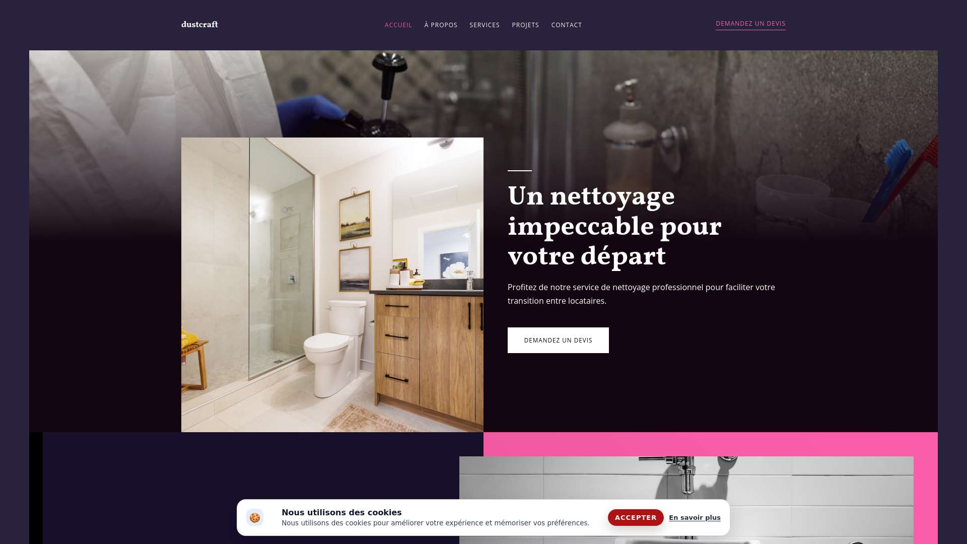 website screenshot of https://dustcraft.company